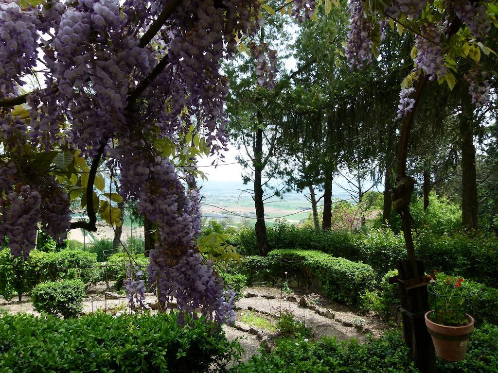 Bed and Breakfast Casa Fiorita Sant'Enea Esterno foto