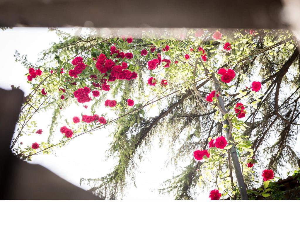 Bed and Breakfast Casa Fiorita Sant'Enea Esterno foto