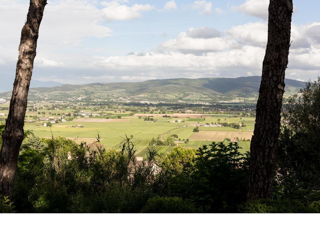 Bed and Breakfast Casa Fiorita Sant'Enea Esterno foto